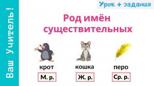 Род имен существительных. Как определить род существительных?