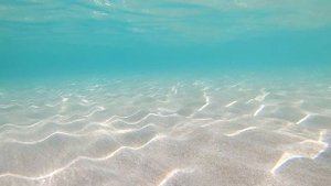 Пляж Оленевка, Крым. Подводный пейзаж.