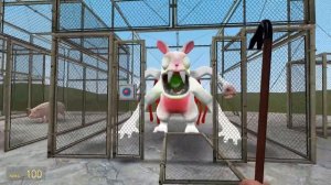 NEW INFECTED TURTLE ZOOCHOSIS MUTANT (Garry`s Mod)