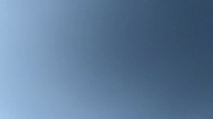 Бойные Голуби. Чернохвостые. 10.10.20 Грузия. Тбилиси