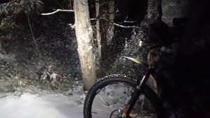 14.12.24  снежная пора