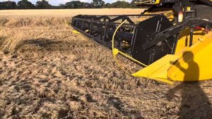 Проба подобрать полеглую потоком дождевой воды пшеницу с помощью стеблеподъемников. (Архив 2023)