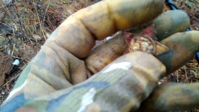 ПОДНЯЛ КЛАД МЕТАЛЛОИСКАТЕЛЕМ X-TERRA 705 КОМИ КОП смотреть онлайн