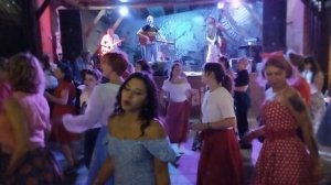 The Alligators в Night Train