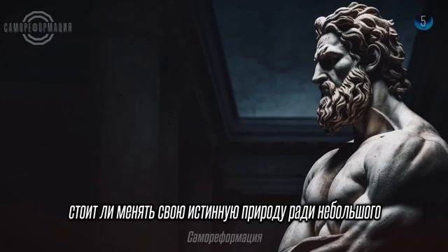 8 стоических принципов, чтобы НИЧТО не могло на вас повлиять | стоицизм