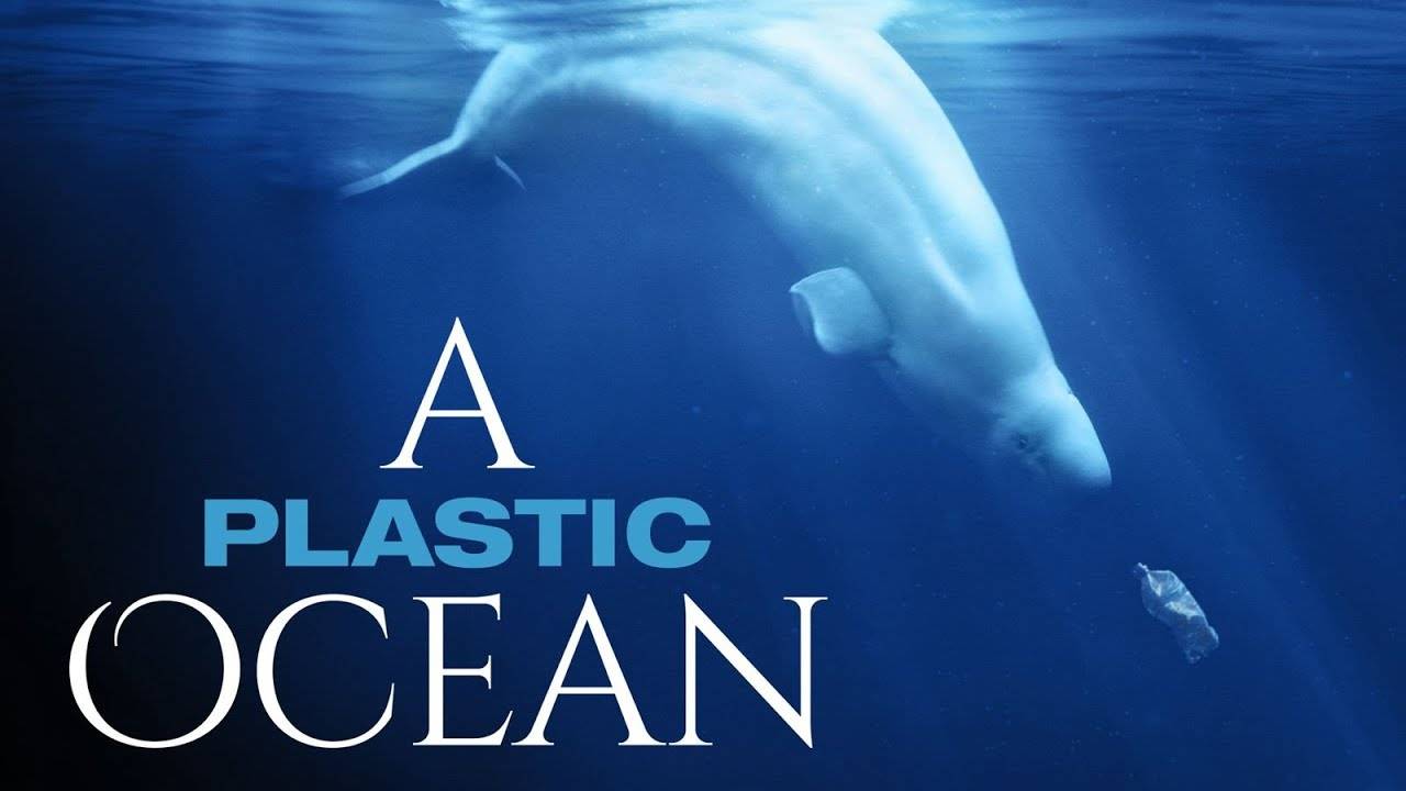 Пластиковый океан / A Plastic Ocean