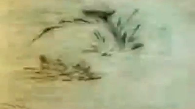 Синее Синее