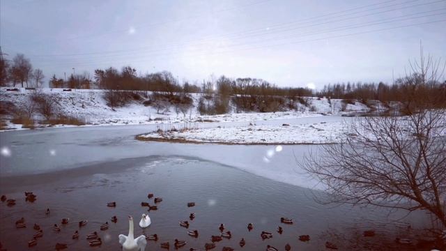 Музыкальный релакс! Музыка для души Сергей Чекалин. Music. nature.