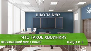 Что такое хвоинки. Окружающий мир 1 класс. Жунда С. В