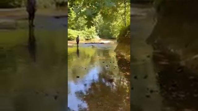Boone swimming in the river смотреть онлайн
