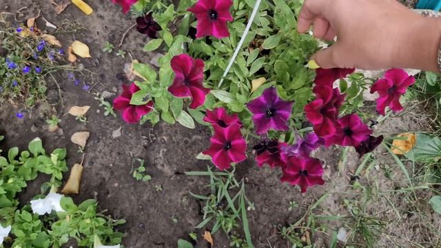 первый день на КЕТО я собой довольна