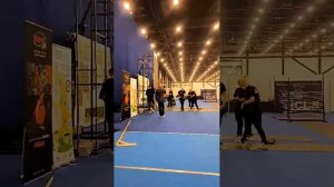 Невероятные рекорды собак