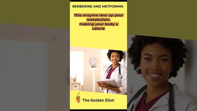 Berberine and Metformin Taken Together: Discover The Benefits of This Weight Loss Combo смотреть онлайн