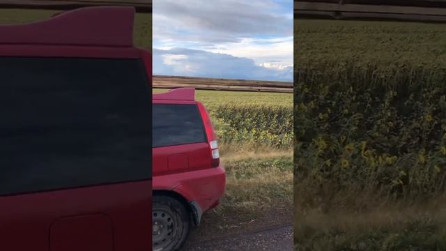 6 метров на крыше хонды смотреть онлайн