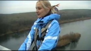 Если б мишки были пчёлами )