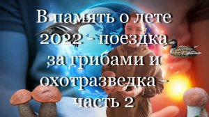 В память о лете 2022 - поездка за грибами и охотразведка - часть 2 #мой_мир_поморье