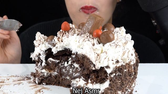 ASMR CHOCOLATE CREAM CAKE, MALTESERS MUKBANG EATING SOUNDS #asmr #디저트먹방 #chocolate #초콜릿 #케이크 #디저트