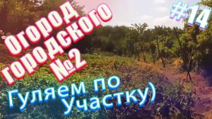 4е июля 2019