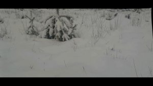 Сезон твердой воды Можайское водохранилище
12 Декабря 2024г.