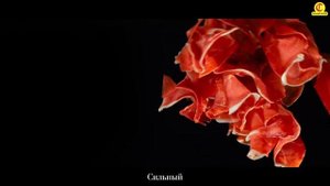 Casademont (реклама)