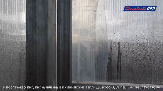 Теплица по гранту. Стометровая промышленная теплица с хозблоком-холодильником под тюльпаны