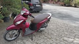 🛵 Аренда мотобайка в Далате (Вьетнам) - реальная цена и что нужно знать