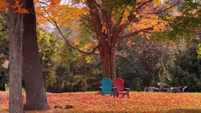 Хамелеон - Листья 64