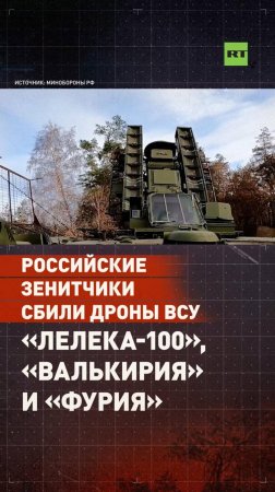 Зенитчики ВС РФ сбили дроны ВСУ «Лелека-100», «Валькирия» и «Фурия»