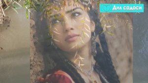 КЛИП KLIP Сув бўйида мажнунтол MAJNUNTOL Шерали Жўрев ёшлик йиллари