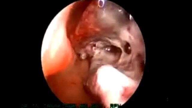 10 ноября 2021 г. смотреть онлайн