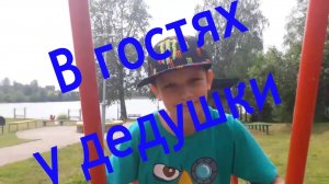 В гостях у дедушки Палкино #potemkin3 Потемкин