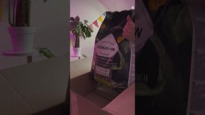 ЧТО ДЕЛАТЬ, если ЧЕРЕНКИ Монстеры СГНИЛИ? / Полный ПРОЦЕСС реанимации ОТ и ДО