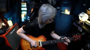 PRS SE 245