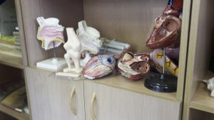 Мероприятие в рамках реализации социальной инициативы СНО XPro