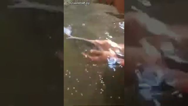 Отборные приколы! Тест на психику смотреть онлайн