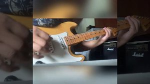 Tomson Splendor Series Stratocaster Japan 70s By Maxbaza