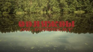 Однажды на монтаже