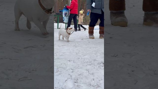 ✨ Барнаул, спасибо за чудо, которое мы сотворили вместе! ✨
