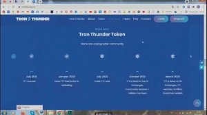 Короткая презентация проекта #TRON_THUNDER Гром