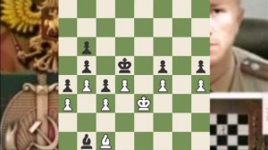 ШАХМАТЫ Сhess-com БОТ 2250 пингвин