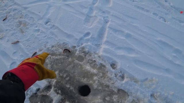 Зимняя рыбалка на удочку. Ловля окуня зимой. смотреть онлайн
