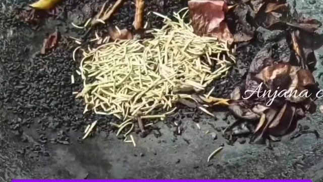 How to use amla, chukander, remedies for Grey Hair बाल काले कैसे करें /grey hair to black Hair50 ye