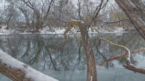 Природа никогда не спешит, но всегда успевает.

Лао-Цзы