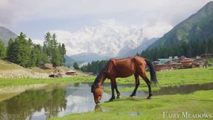 Гималаи — живописный расслабляющий фильм с успокаивающей музыкой!...