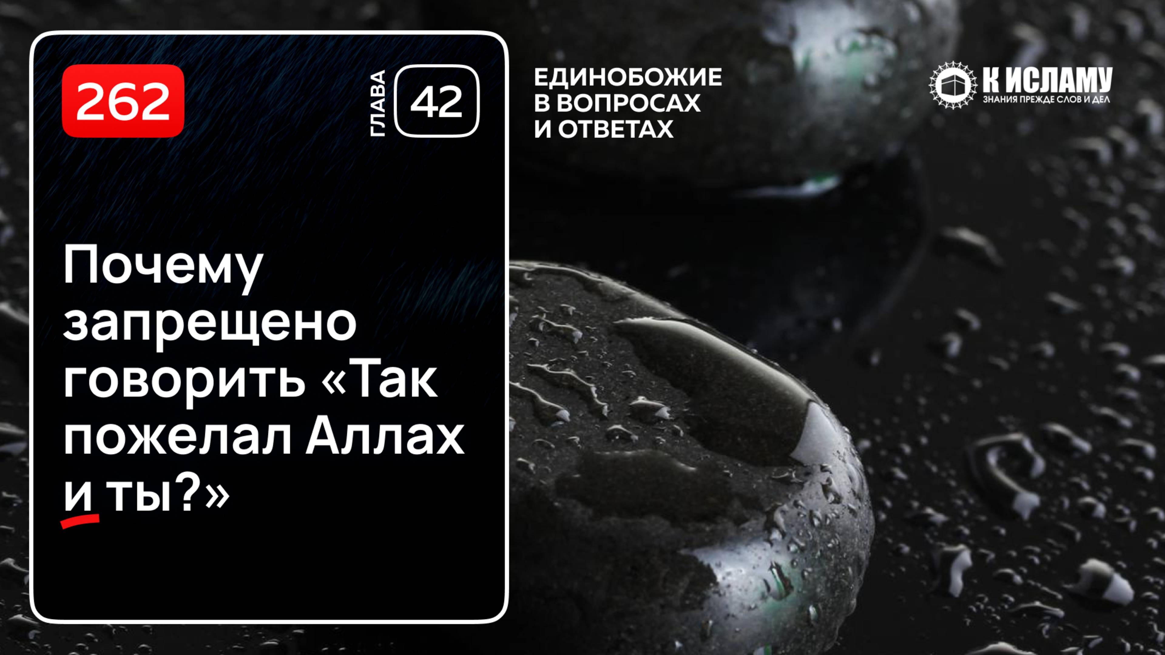 262. Почему запрещено говорить «Так пожелал Аллах и ты?» Примеры ширка в словах. Ринат Абу Мухаммад