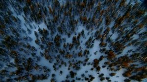 Случайностей не существует |Наталья Котова