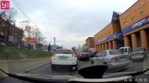 Овца за рулем!!!