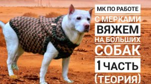 Уникальный мастер-класс: стильный свитер крючком для крупных собак | 1 часть работа с мерками