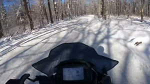 Test Drive! 2024 Polaris Indy Adventure 137 with the new Pro Star S4 4 stroke engine!