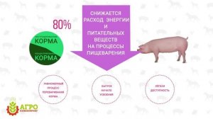 Экструдированные корма. Как делают и как кормят животных!